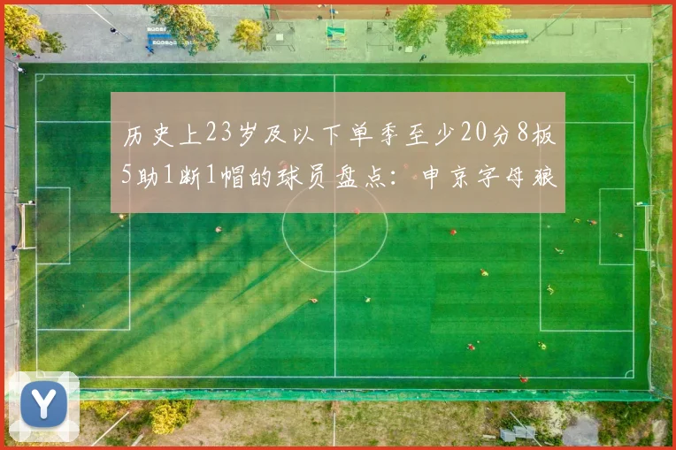 历史上23岁及以下单季至少20分8板5助1断1帽的球员盘点：申京字母狼王等人